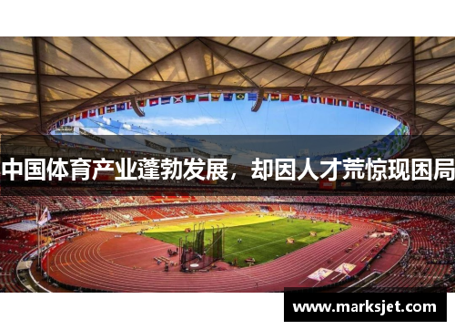 中国体育产业蓬勃发展，却因人才荒惊现困局